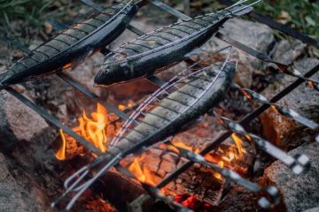 How to Cook Fresh Fish Over a Campfire Like a Pro