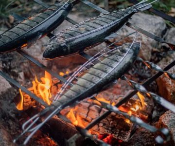 How to Cook Fresh Fish Over a Campfire Like a Pro