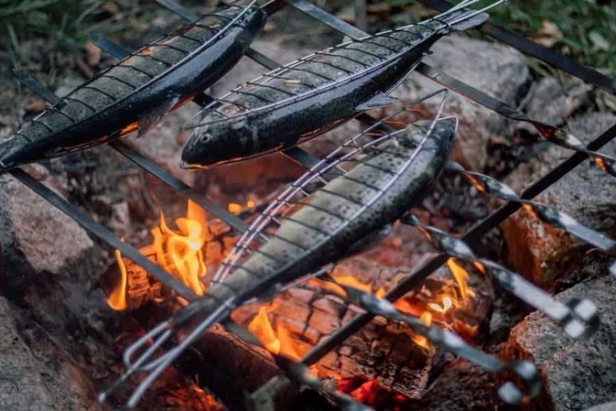 How to Cook Fresh Fish Over a Campfire Like a Pro