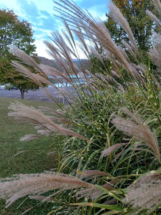 Washington County Park Picture 8