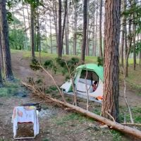 Washington County Park ico