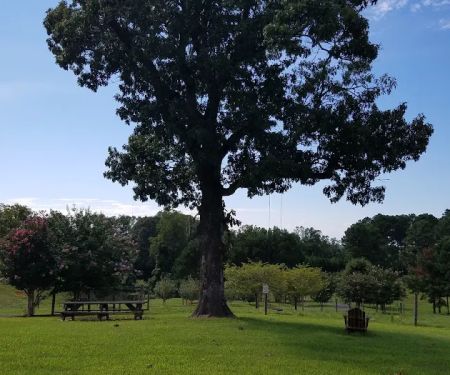 Bison Trail RV Park/Piedmont Bison Ranch