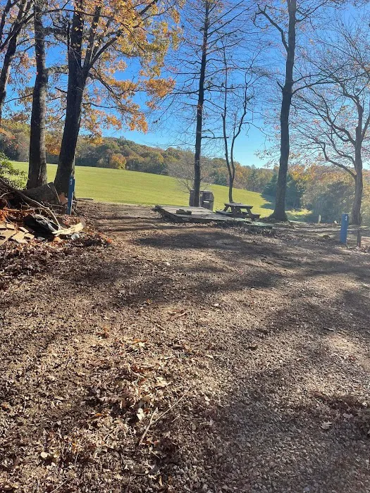 Utt's Mountaintop Campground @ Fancy Gap Picture 9