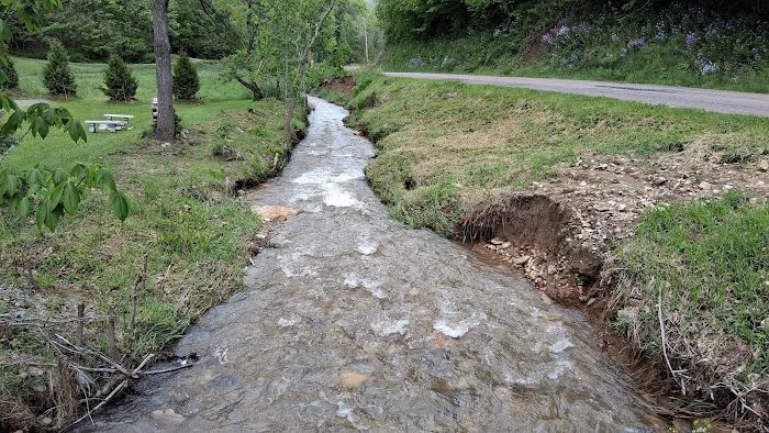 Drake's Creek Campground near Boone Picture 10