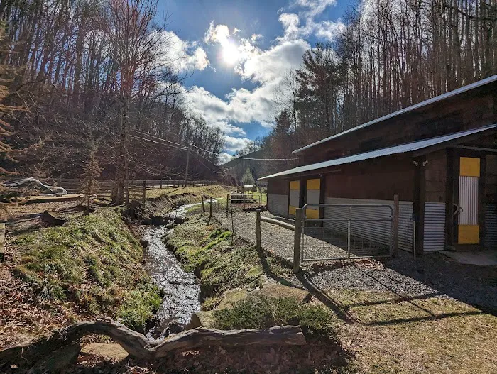 Buttermilk Acres Picture 4