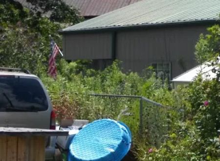 Vanderpool Campground