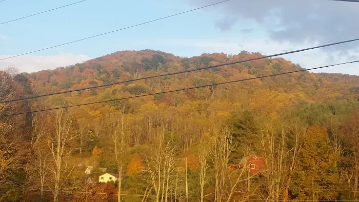 Vanderpool Campground Picture 9