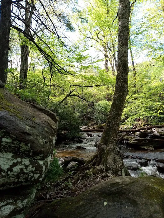 Flintlock Campground Picture 2