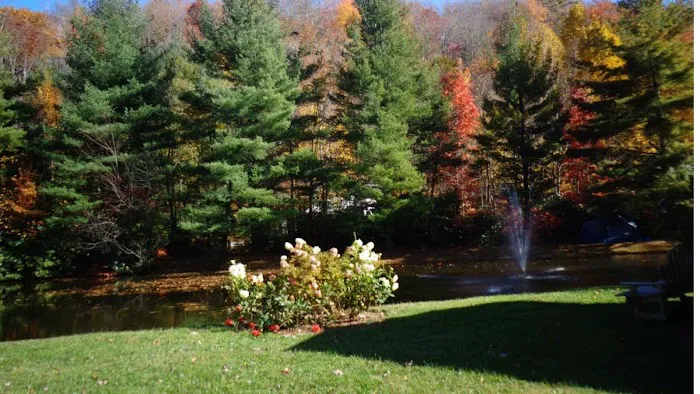 Honey Bear Campground Picture 7