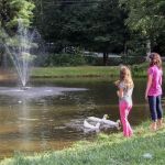 Honey Bear Campground
