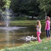Honey Bear Campground ico