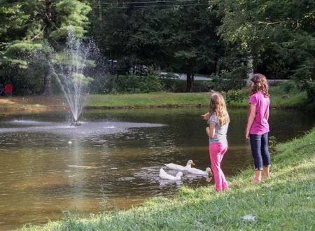Honey Bear Campground