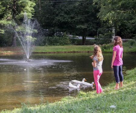 Honey Bear Campground