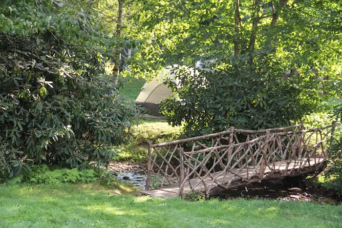 Honey Bear Campground Picture 3