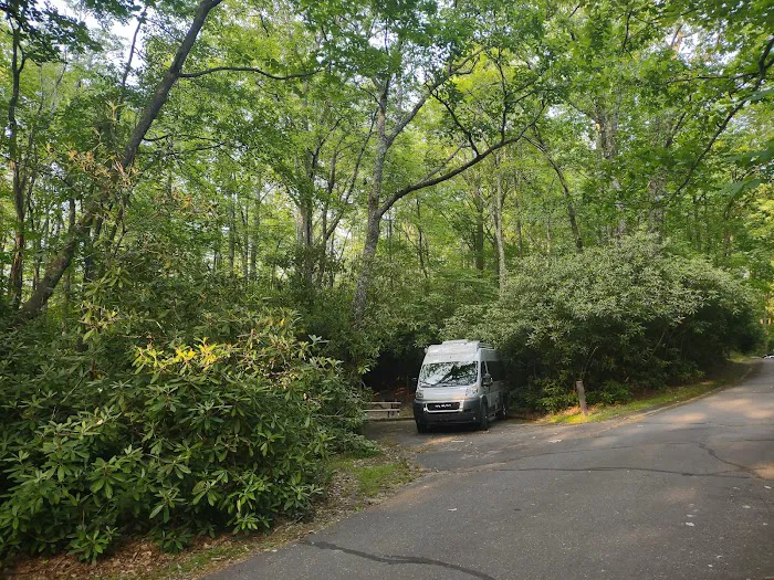 Julian Price Campground Picture 8