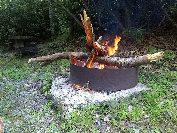 Julian Price Campground Picture 7