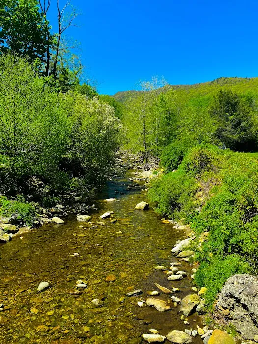 Grandfather Campground Picture 5