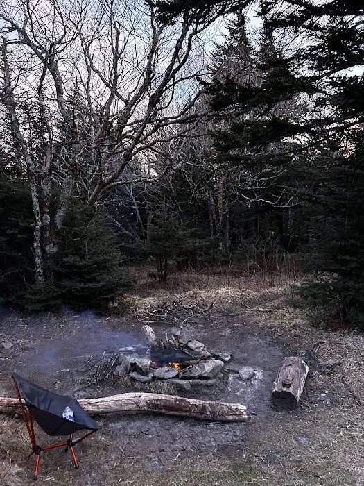 Briar Patch campsite Picture 1