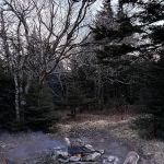Briar Patch campsite
