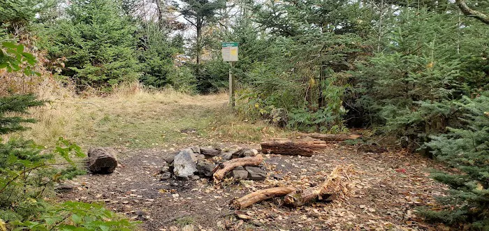 Briar Patch campsite Picture 3