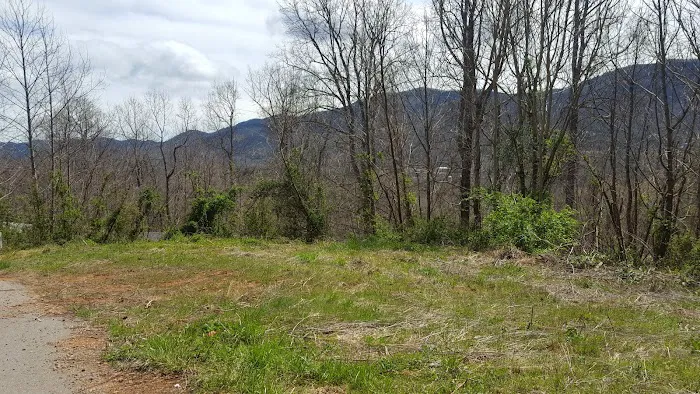 Forrest Hills Mobile Home Community Picture 1
