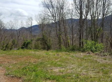 Forrest Hills Mobile Home Community