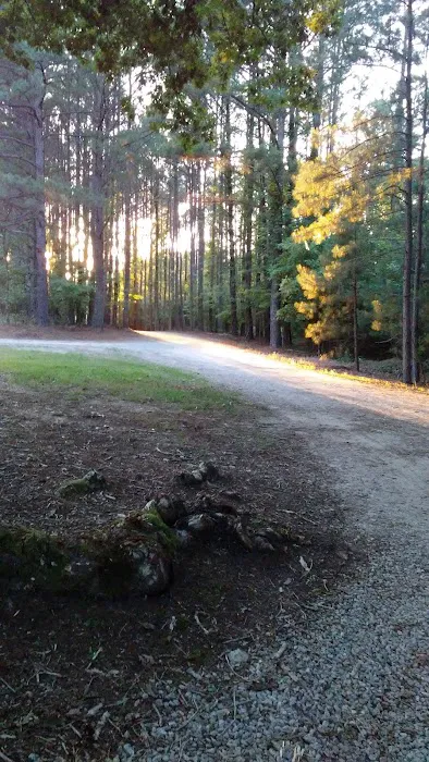 The Matthews Campground Picture 6