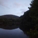 Scenic Community