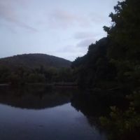 Scenic Community ico