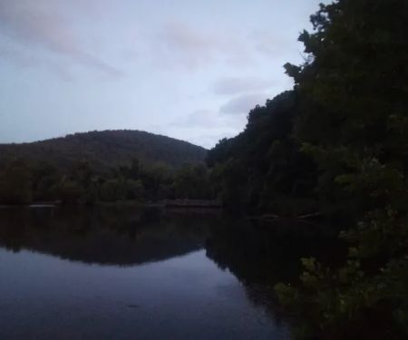 Scenic Community