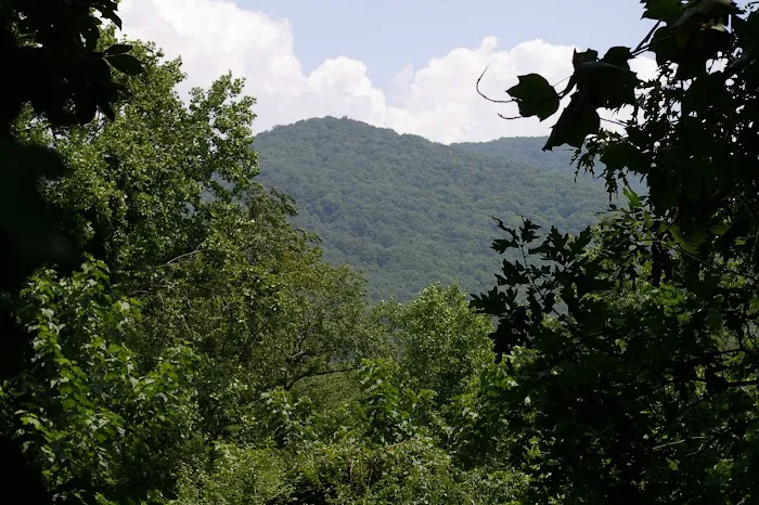 Scenic Community Picture 2