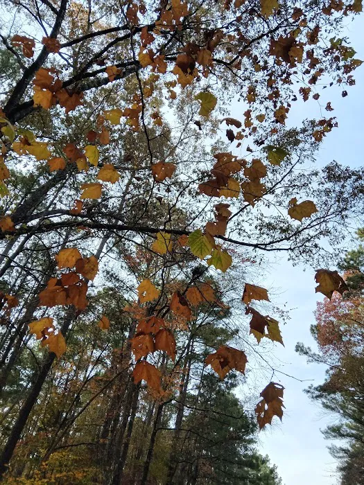 Crosswinds Campground Picture 8