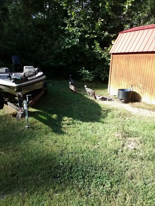 Oteen Trailer Park Picture 4