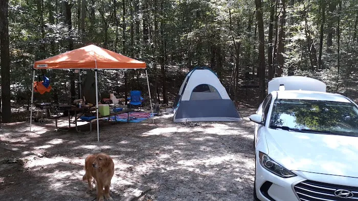 Poplar Point F Loop Campground Picture 3
