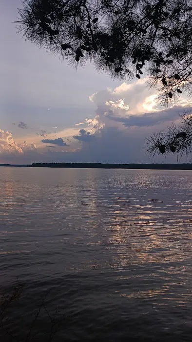 Poplar Point B Loop Campground Picture 9