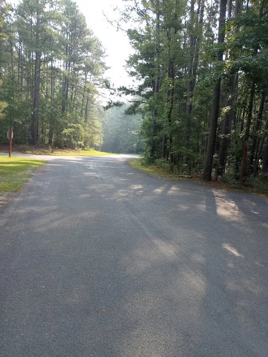 Poplar Point B Loop Campground Picture 3