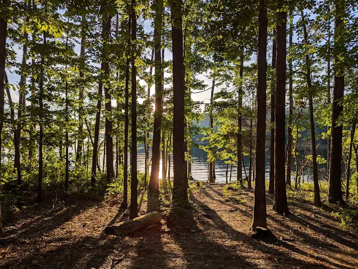 Poplar Point Campground Picture 4