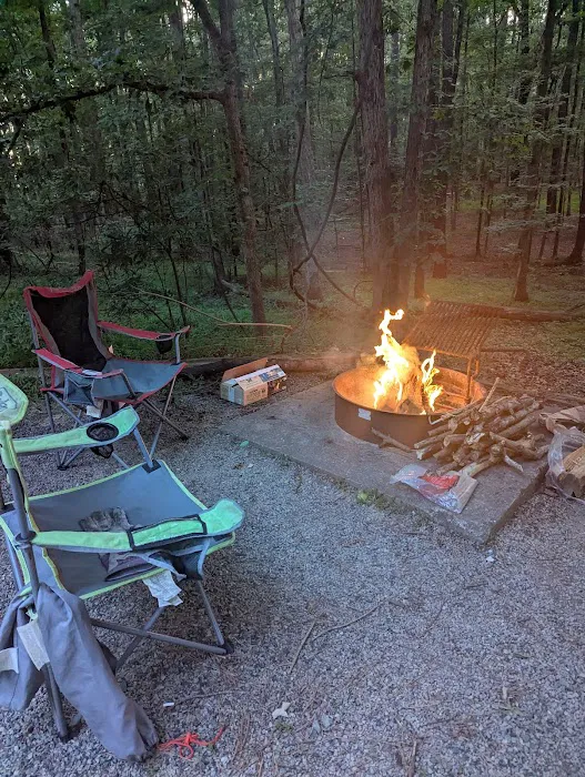 Poplar Point E Loop Campground Picture 1
