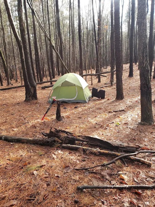 Yates Place Campground Picture 1