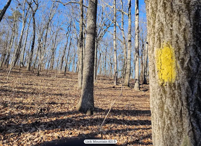 Yates Place Campground Picture 10