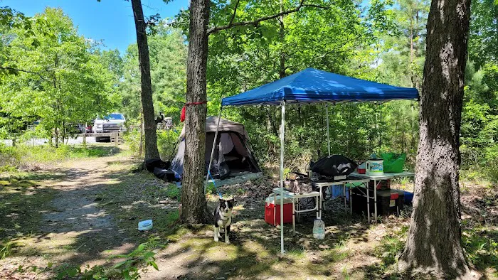 Art Lilley Campground Picture 7
