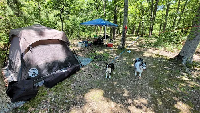 Art Lilley Campground Picture 8