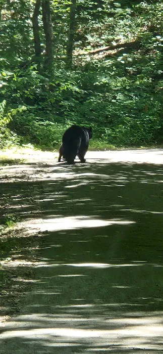 Ashley Creek RV Park Picture 3
