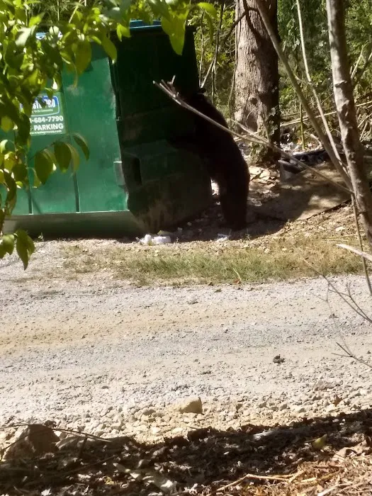 Ashley Creek RV Park Picture 9