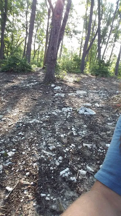 Deep Water Trail Camp Picture 3