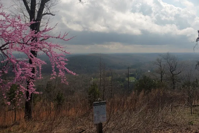 Morrow Mountain State Park Campground Picture 2