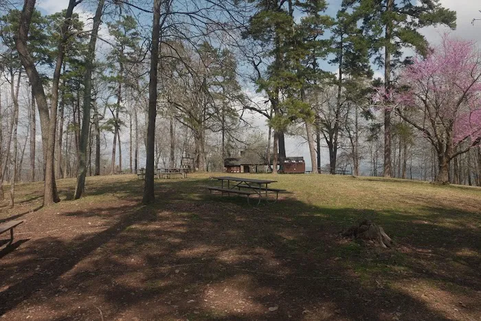 Morrow Mountain State Park Campground Picture 1