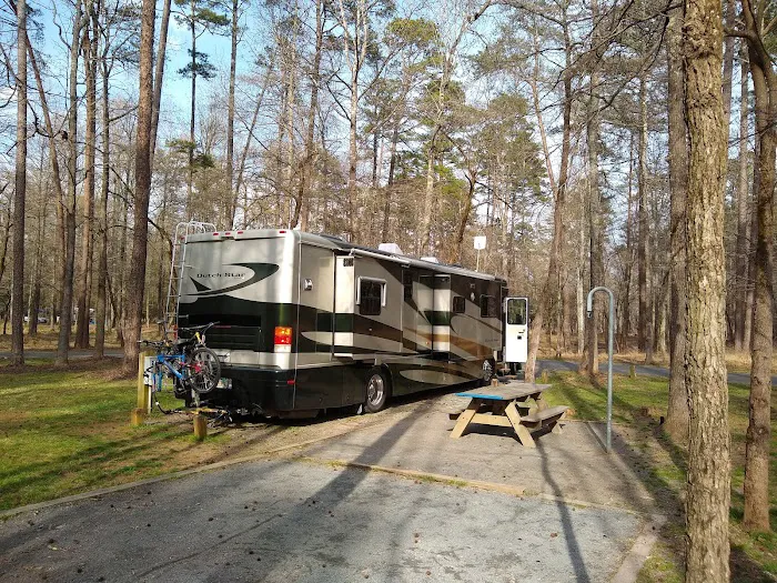Morrow Mountain State Park Campground Picture 3