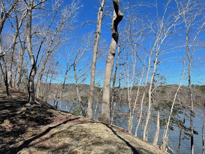 Morrow Mountain State Park Campground Picture 7