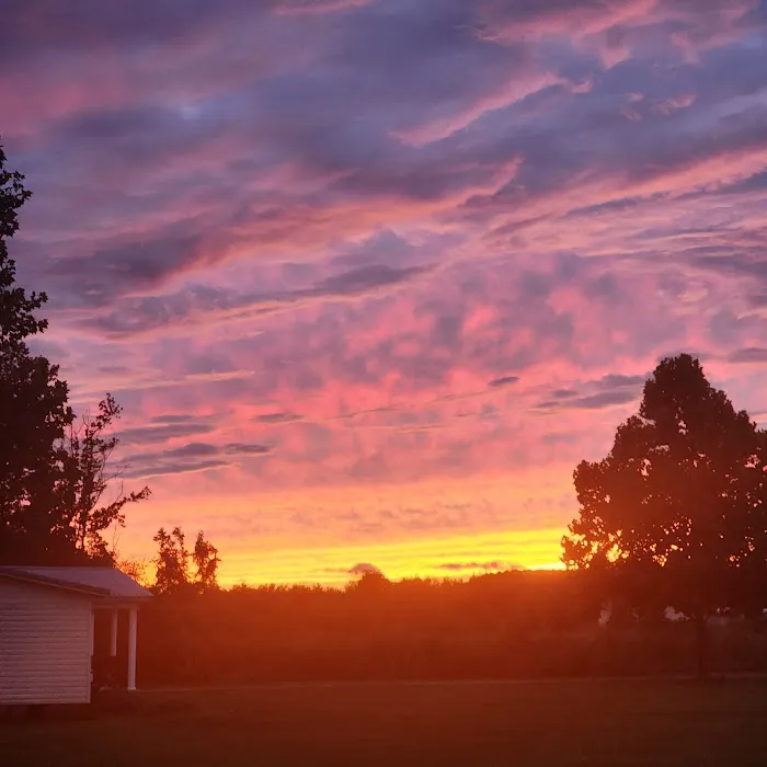 LumberJack RV Park Picture 7